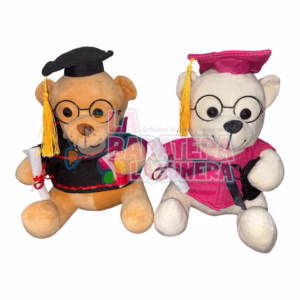 Oso de peluche de graduación 20 cm
